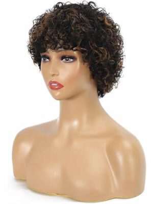 Curly Afro 100% Human Hair Wig, Color: 1B