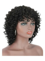 HH Jerry Curl 100% Human Hair Wig, Color: 2, 1B
